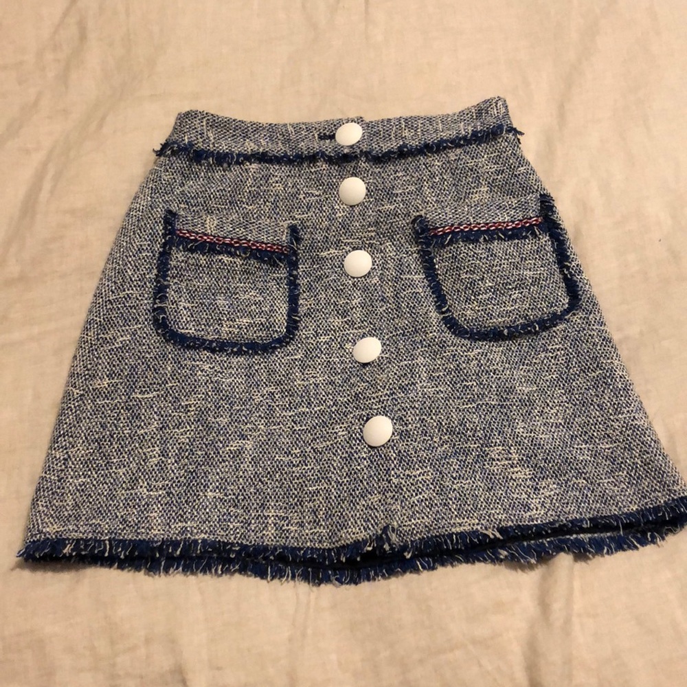 Zara Skirt